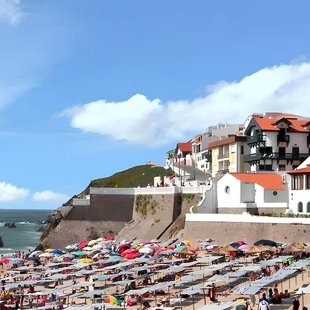 펜션 Charming In Pataias, 18 M² With Shared Pool. *